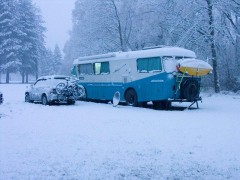 Balmoral Forest - 3 inches of snow in 2 days - [Click for a Larger Image]