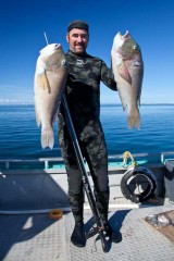 Two nice groper at the Abrolhos Islands, WA - [Click for a Larger Image]