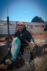 Tuskfish at Cleverville - WA - [Click for a Larger Image]
