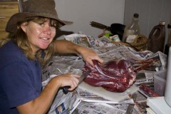 Tracey butchers a roo at the camp - Cheela Plains, WA