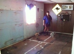 The shack is ready for the new vinyl floor (and the dogs are wondering what is happening), WA - [Click for a Larger Image]