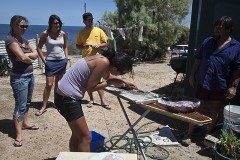 The french backpackers try their hand at fish filleting, Cliff Head, WA - [Click for a Larger Image]