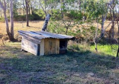 The Chook Shed - [Click for a Larger Image]
