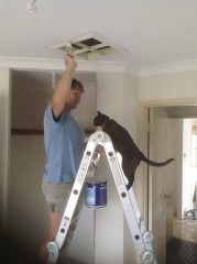Tivoli Helps with the painting - [Click for a Larger Image]