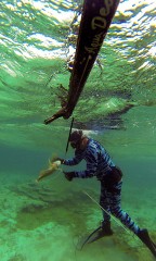 GoPro captures a photo just after shooting a fish. - [Click for a Larger Image]
